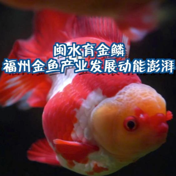 新华网