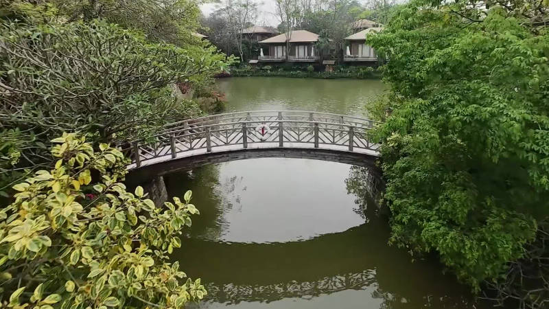 新华网