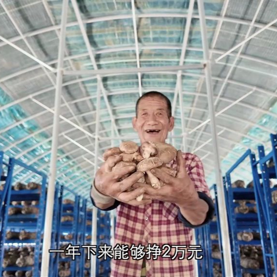 新华网