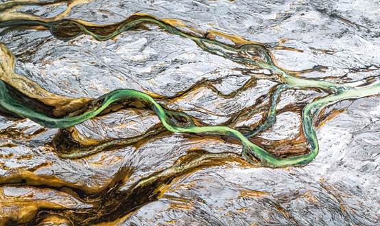 白金大地之樹(shù).+黃成杰