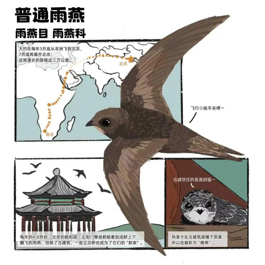 软的给你，硬的给我”， 这种硬核“育儿”方式看哭了！ - 新华网客户端